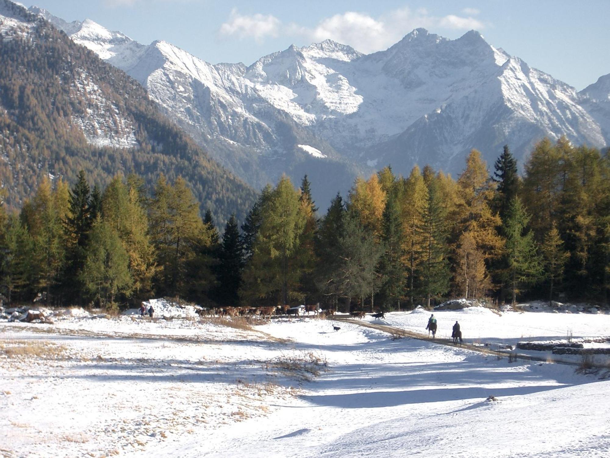 Le Vieux Rascard Chambres D'Hotes Champoluc Buitenkant foto