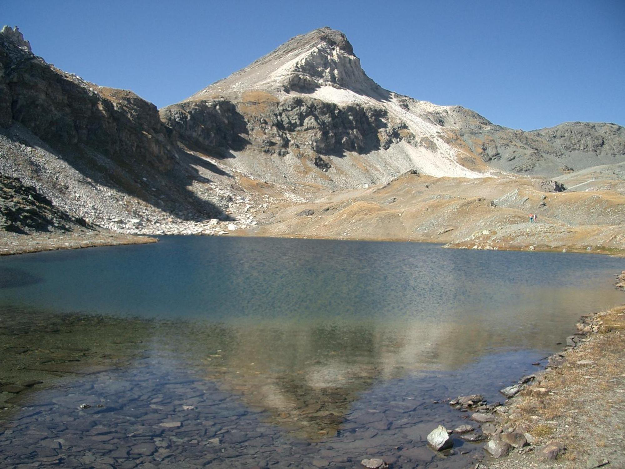 Le Vieux Rascard Chambres D'Hotes Champoluc Buitenkant foto